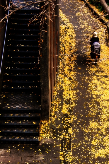 f:id:soft_machine:20201211112643j:plain