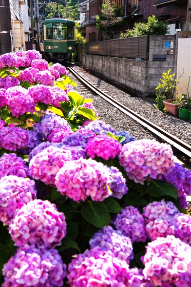 f:id:soft_machine:20210619094214j:plain