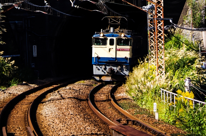 f:id:soft_machine:20211013210830j:plain