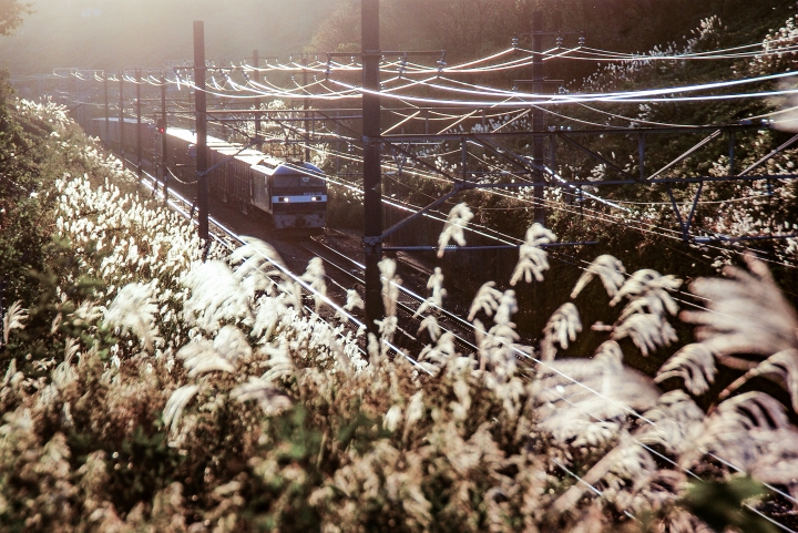 f:id:soft_machine:20211023140541j:plain