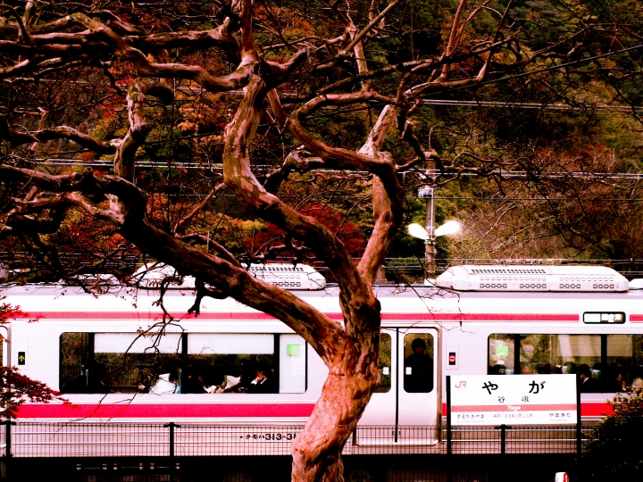 f:id:soft_machine:20211103200843j:plain