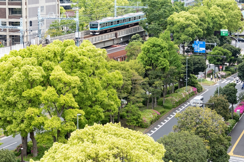 JR根岸線 旧横浜市庁舎界隈の緑 - 横浜鉄道写真館