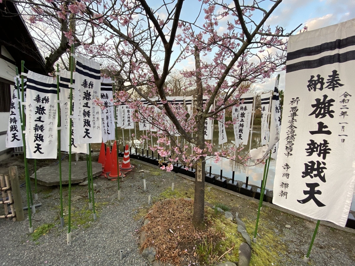 f:id:softandwarmjapan:20200221121940j:plain f:id:softandwarmjapan:20200221121940j:plain