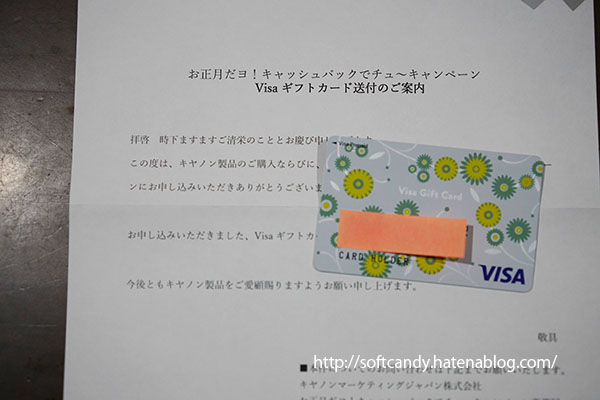 Visaギフトカード が届いたので使ってみた Visaギフトカード使い方 Softcandy S Blog