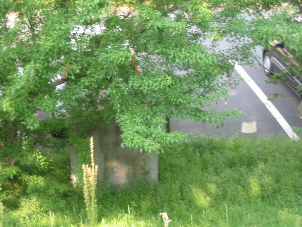 f:id:softether:20030509154407j:image