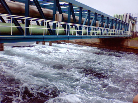 f:id:softether:20050618100001j:image f:id:softether:20050618100001j:image