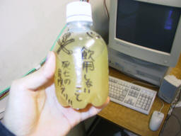 f:id:softether:20060109055650j:image