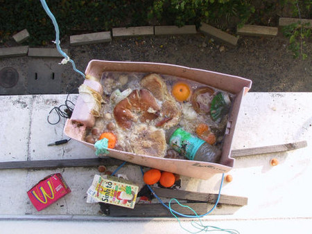 f:id:softether:20060109055655j:image