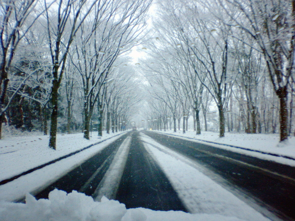 f:id:softether:20060121080400j:image