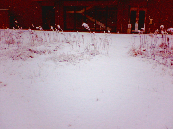 f:id:softether:20060121080500j:image