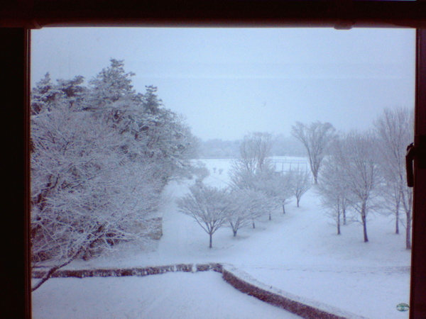 f:id:softether:20060121080701j:image