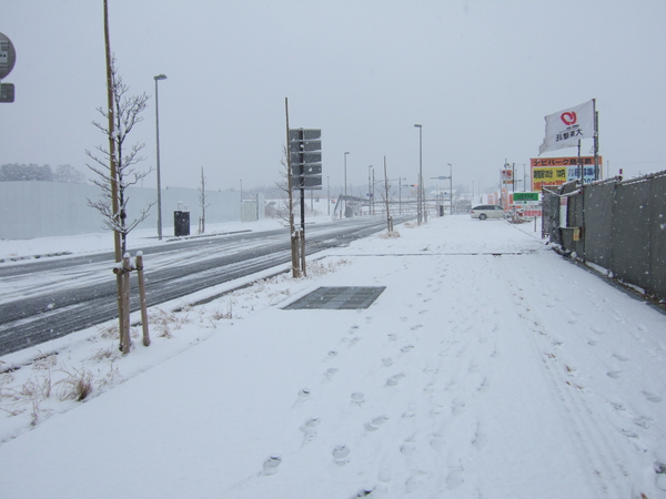 f:id:softether:20060121083315j:image