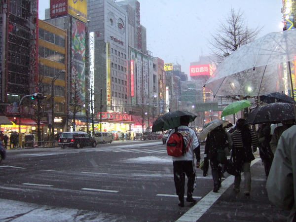 f:id:softether:20060121163637j:image