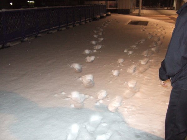 f:id:softether:20060121200300j:image