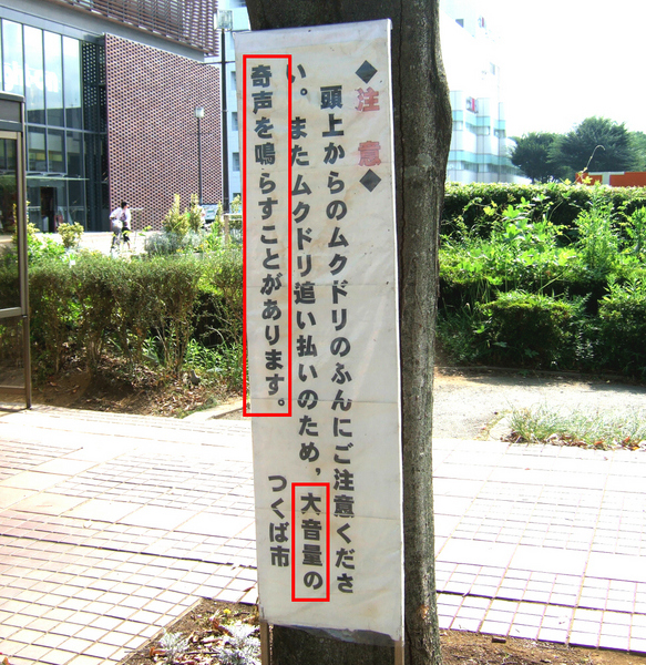 20070903145503