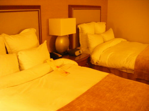 f:id:softether:20090910233030j:image