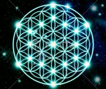 f:id:sofu1:20191101112651j:image