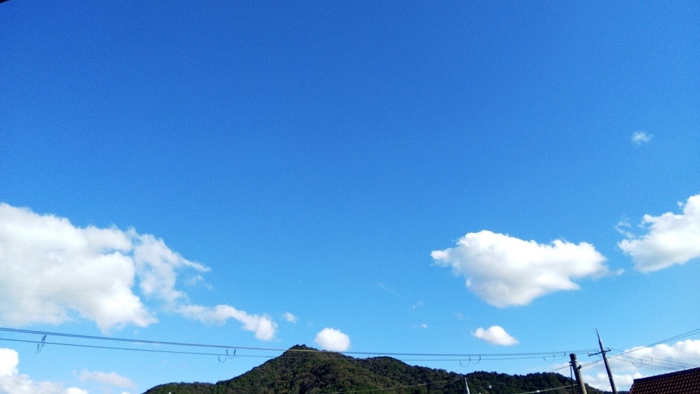 f:id:sogen-yotuba:20211015181903j:plain