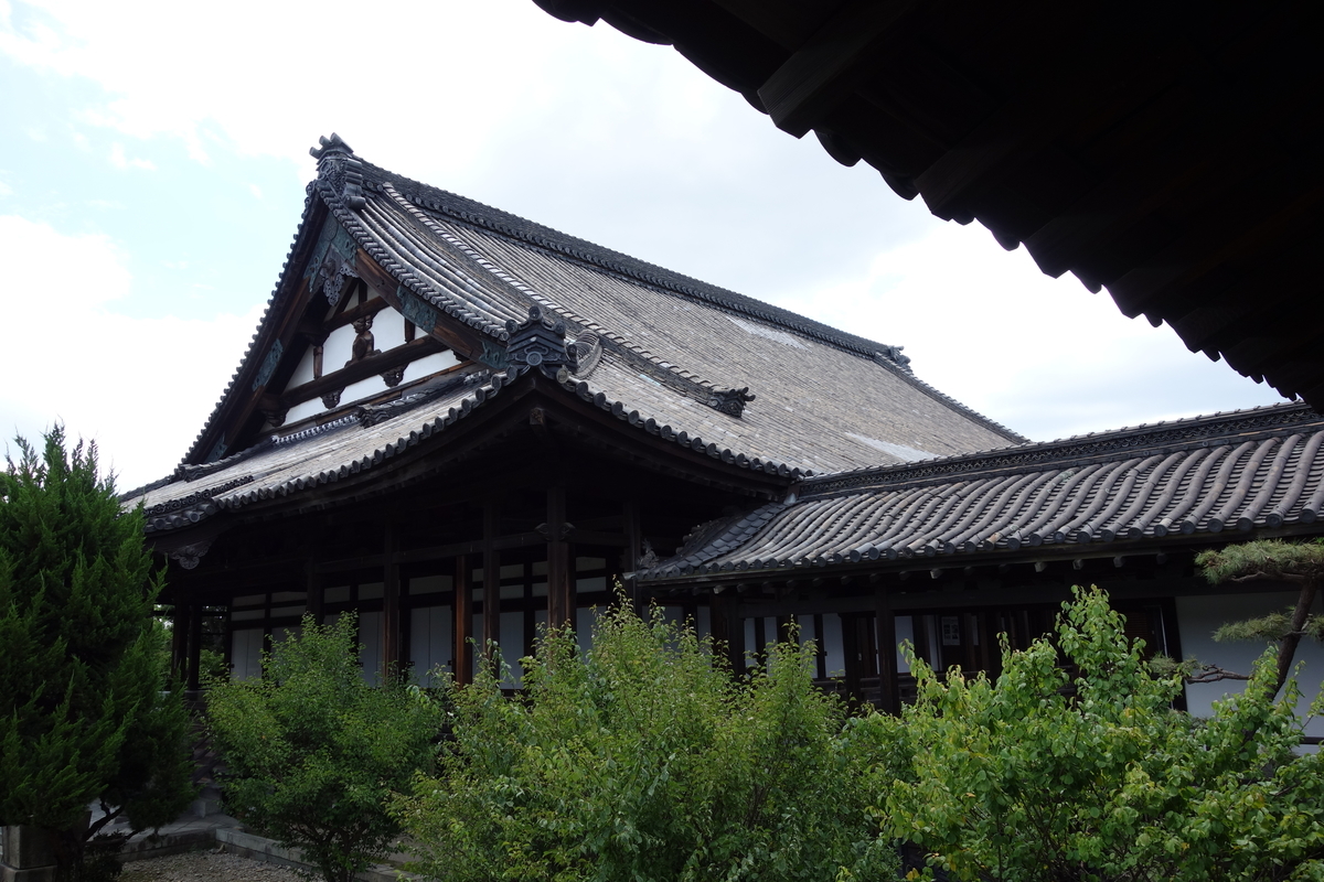 f:id:sogensyooku:20190717230937j:plain f:id:sogensyooku:20190717230937j:plain