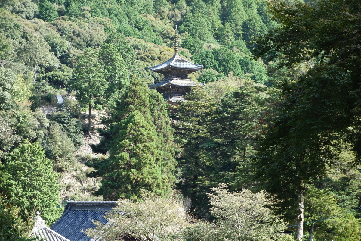 f:id:sogensyooku:20191018202922j:plain f:id:sogensyooku:20191018202922j:plain