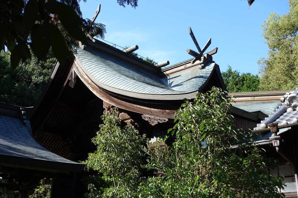 f:id:sogensyooku:20191030204751j:plain f:id:sogensyooku:20191030204751j:plain