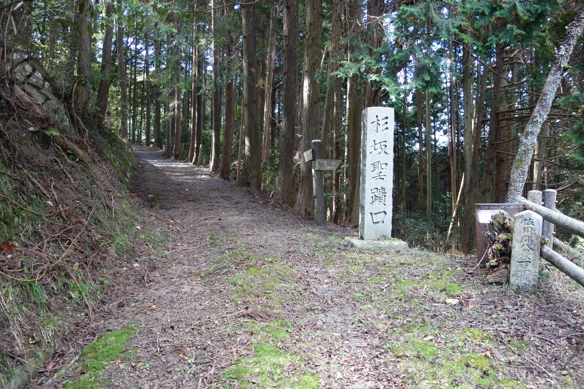 f:id:sogensyooku:20191117184733j:plain