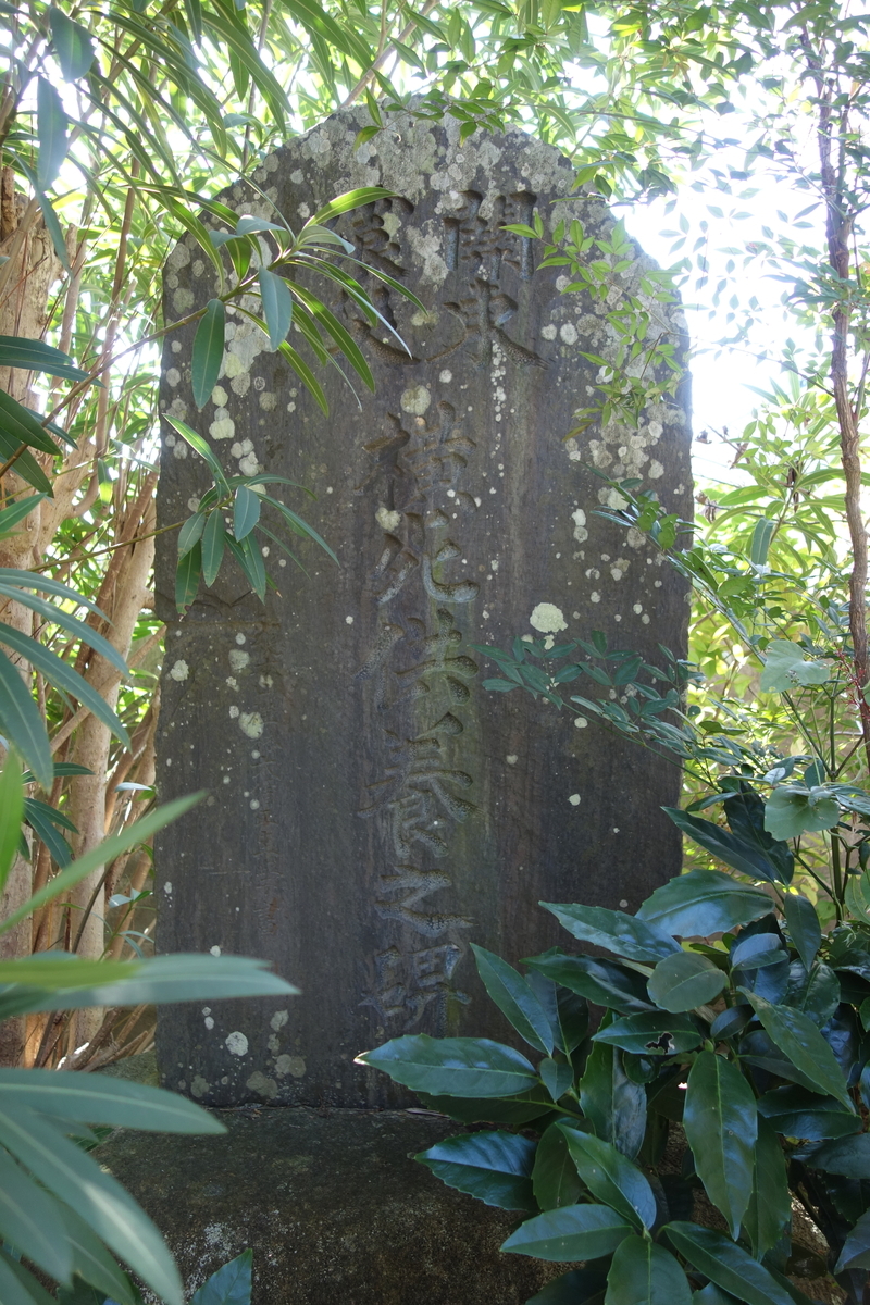 f:id:sogensyooku:20191123152217j:plain