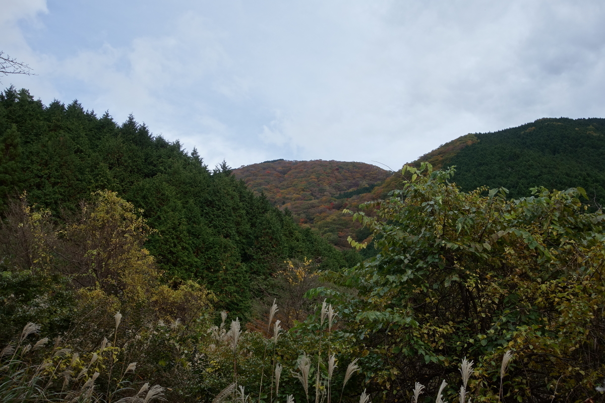 f:id:sogensyooku:20191202200127j:plain