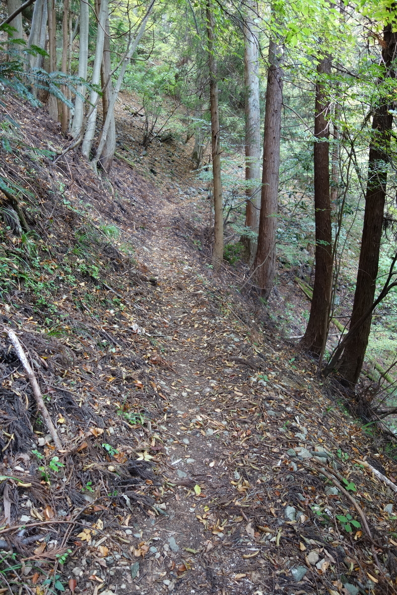 f:id:sogensyooku:20191202200507j:plain