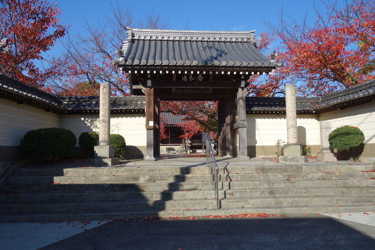 f:id:sogensyooku:20191210212046j:plain f:id:sogensyooku:20191210212046j:plain