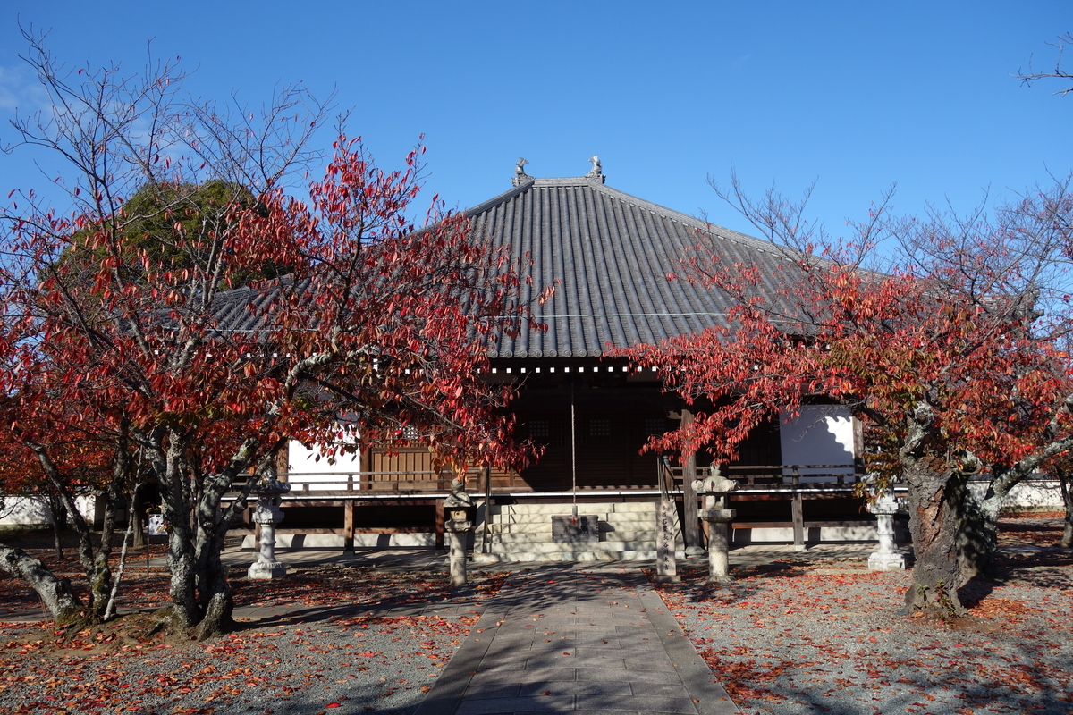 f:id:sogensyooku:20191210213137j:plain f:id:sogensyooku:20191210213137j:plain