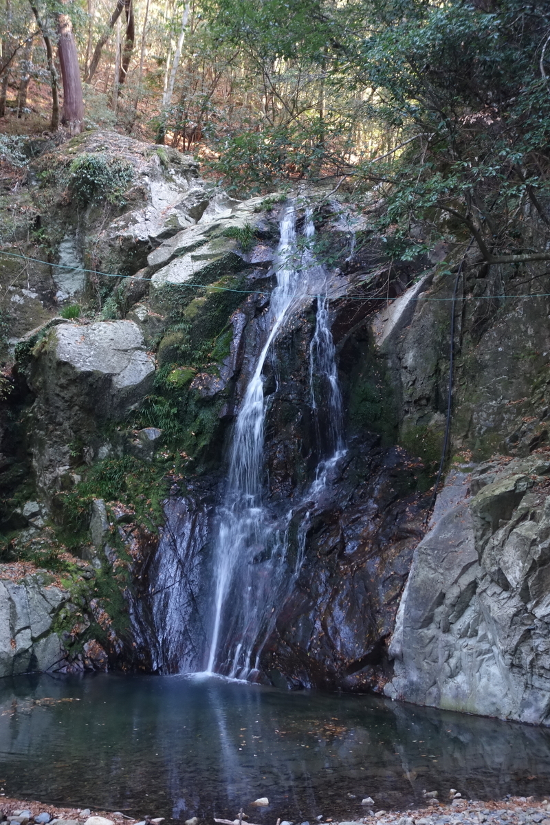 f:id:sogensyooku:20191224210219j:plain f:id:sogensyooku:20191224210219j:plain