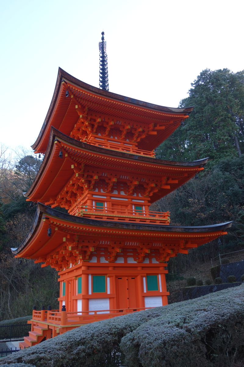 f:id:sogensyooku:20191224212932j:plain f:id:sogensyooku:20191224212932j:plain