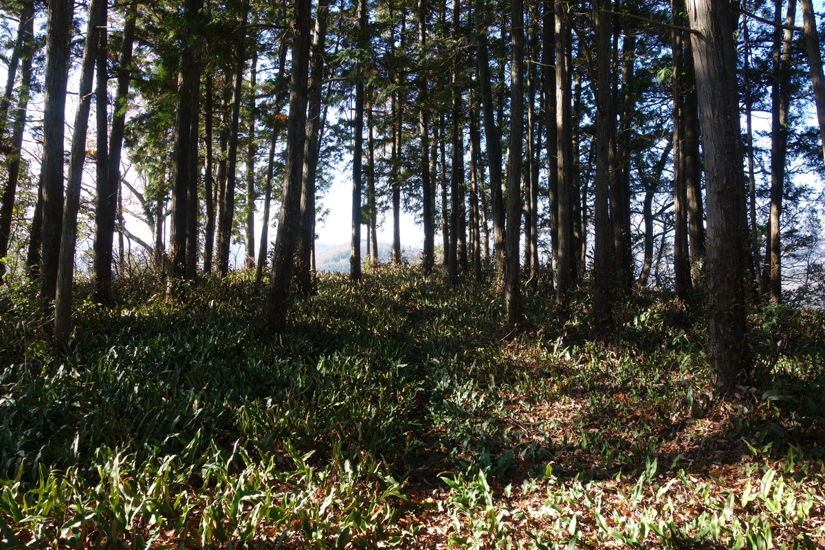 f:id:sogensyooku:20191226211931j:plain f:id:sogensyooku:20191226211931j:plain