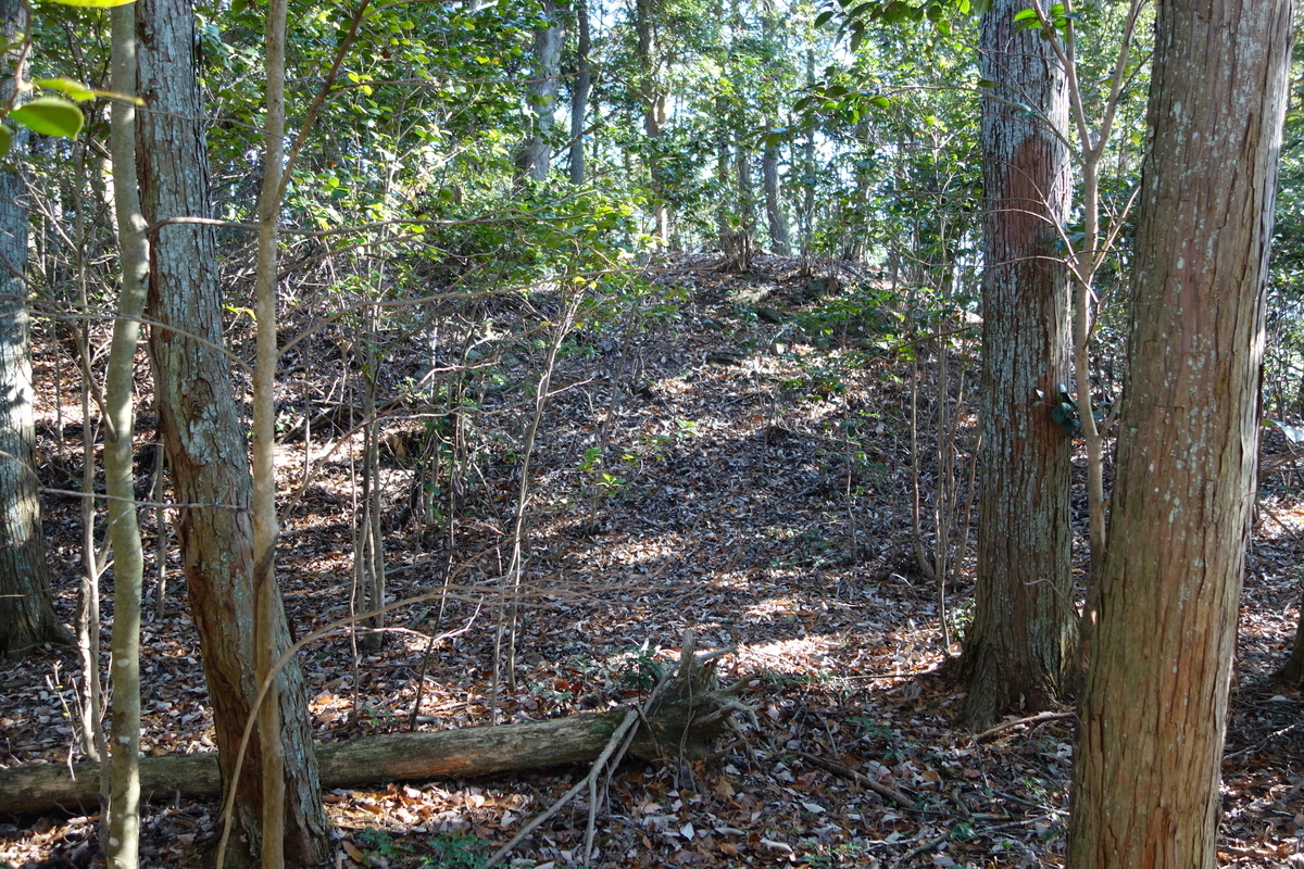 f:id:sogensyooku:20191226212651j:plain f:id:sogensyooku:20191226212651j:plain