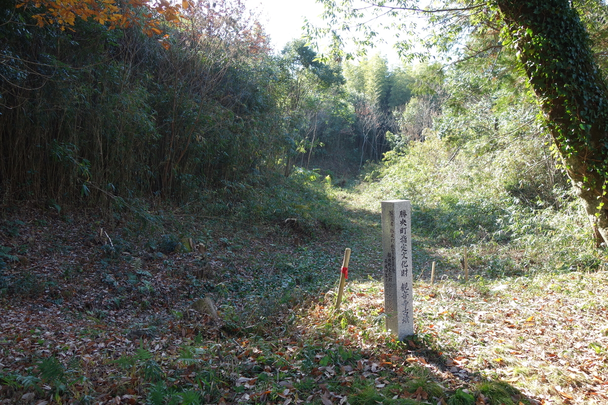 f:id:sogensyooku:20191228203100j:plain f:id:sogensyooku:20191228203100j:plain