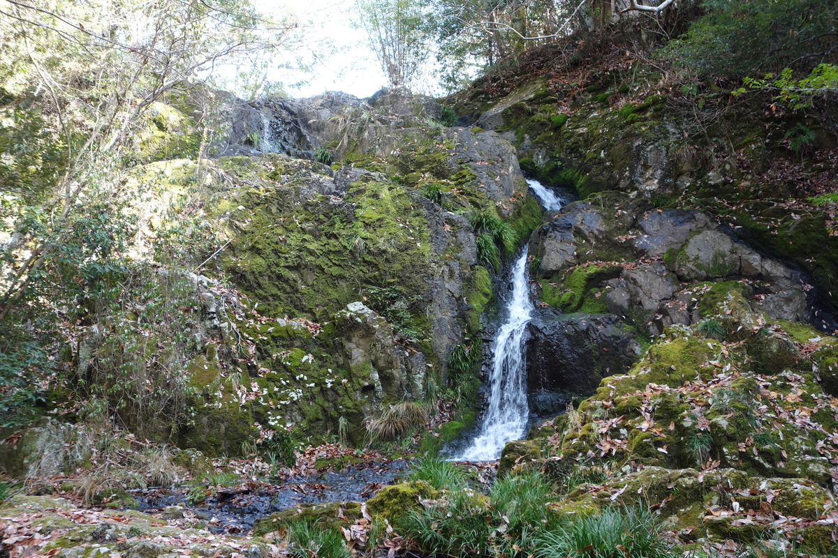 f:id:sogensyooku:20200124163549j:plain