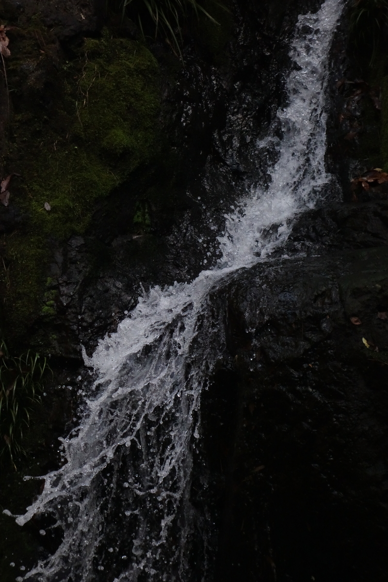 f:id:sogensyooku:20200124163710j:plain