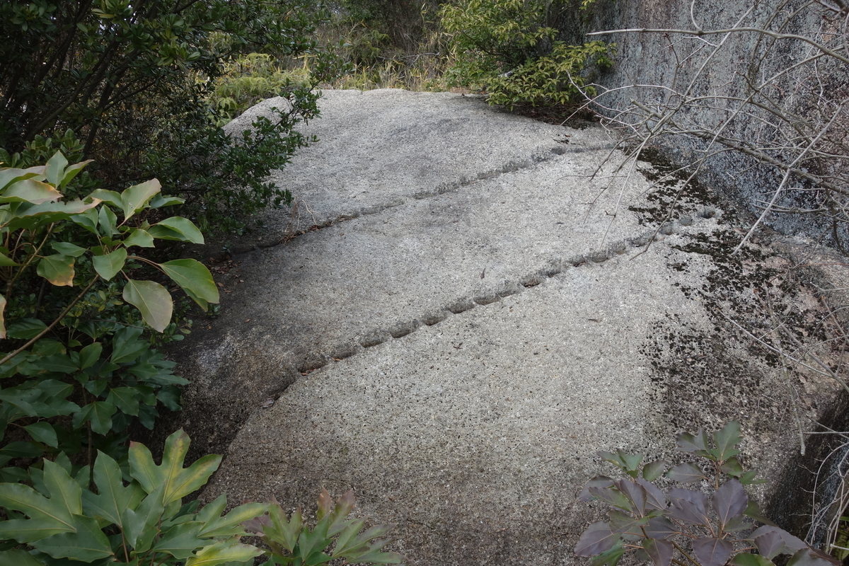 f:id:sogensyooku:20200209131104j:plain