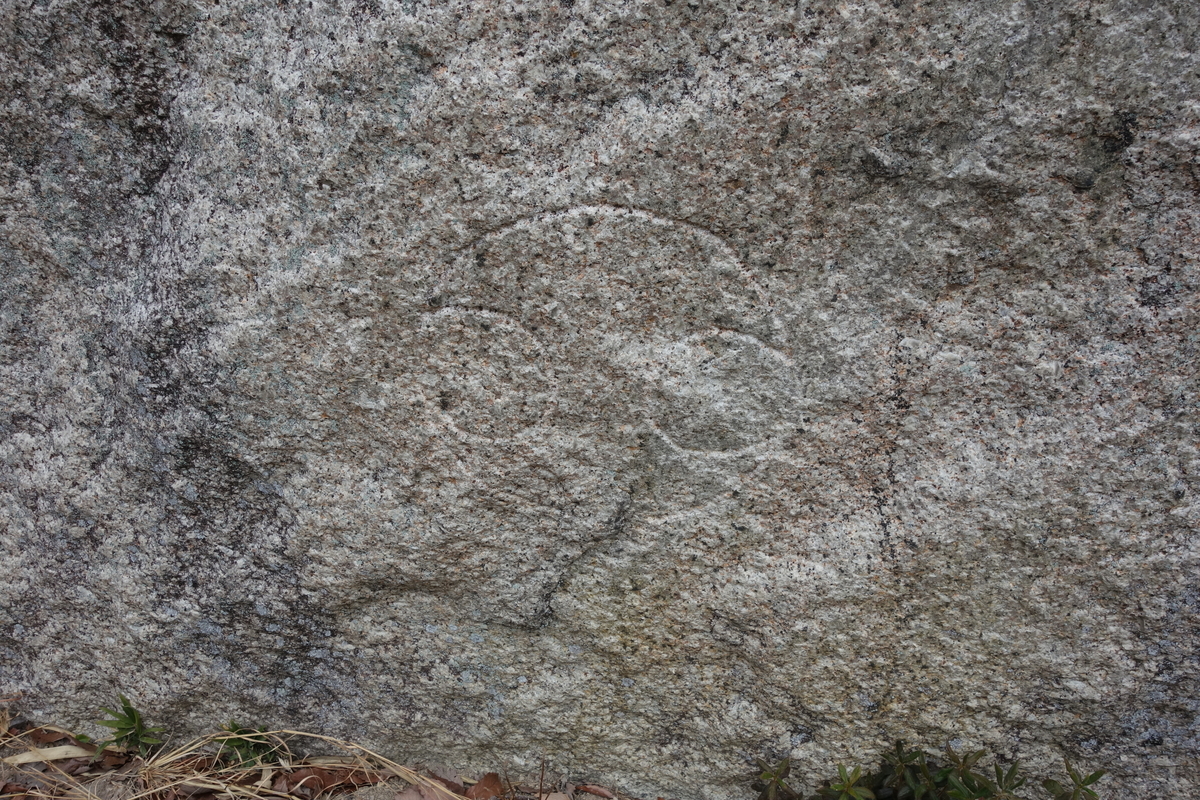 f:id:sogensyooku:20200209131341j:plain