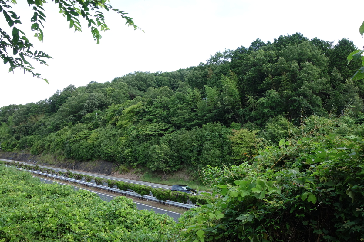 f:id:sogensyooku:20200719172453j:plain f:id:sogensyooku:20200719172453j:plain