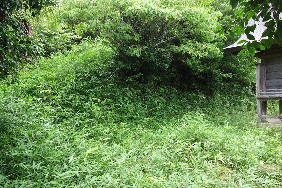 f:id:sogensyooku:20200719173815j:plain f:id:sogensyooku:20200719173815j:plain