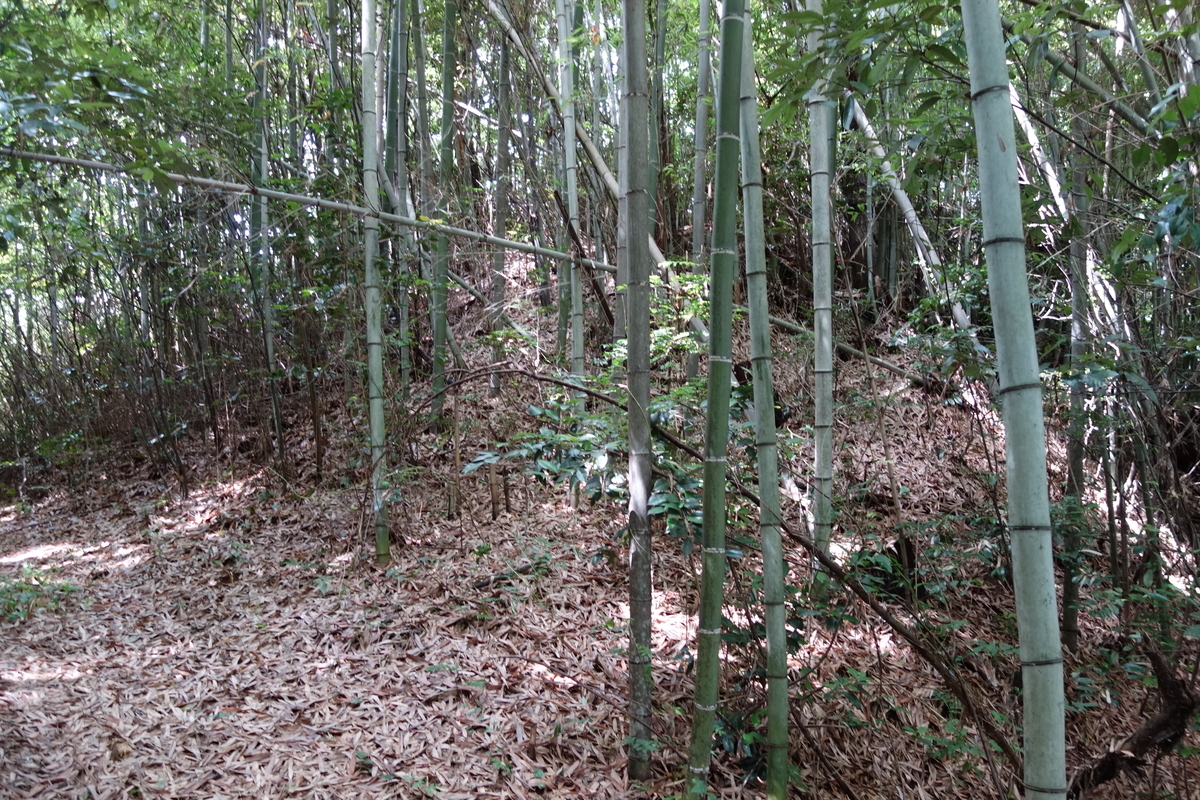 f:id:sogensyooku:20200719174814j:plain f:id:sogensyooku:20200719174814j:plain