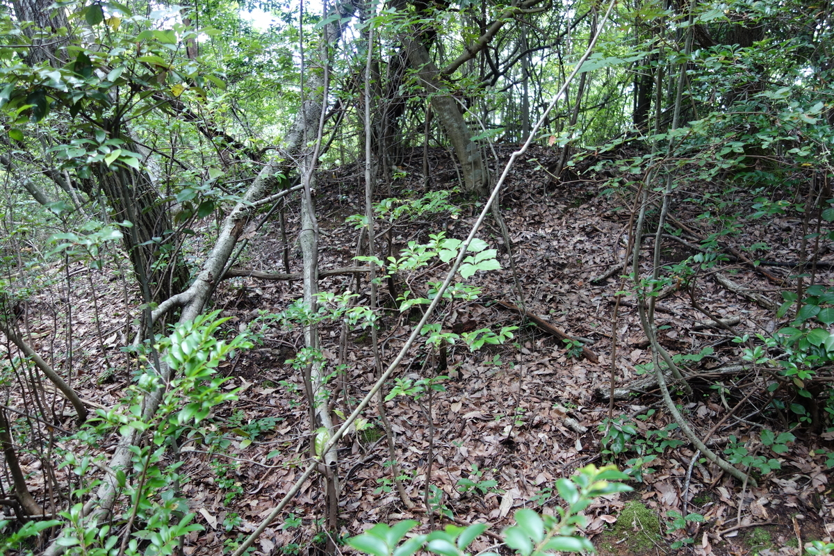 f:id:sogensyooku:20200719175656j:plain f:id:sogensyooku:20200719175656j:plain