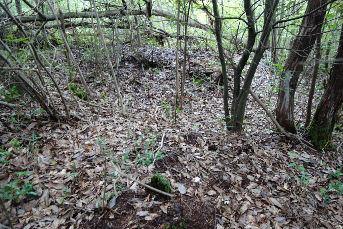 f:id:sogensyooku:20200719184403j:plain f:id:sogensyooku:20200719184403j:plain