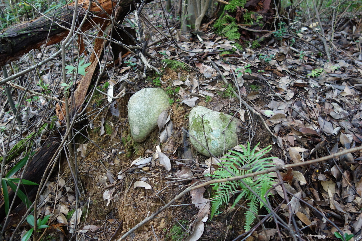 f:id:sogensyooku:20200719184518j:plain f:id:sogensyooku:20200719184518j:plain