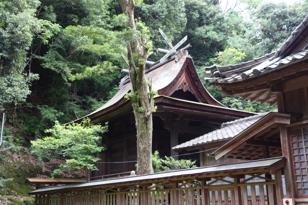 f:id:sogensyooku:20200801202051j:plain f:id:sogensyooku:20200801202051j:plain