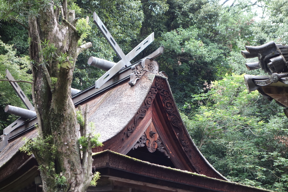 f:id:sogensyooku:20200801202133j:plain f:id:sogensyooku:20200801202133j:plain