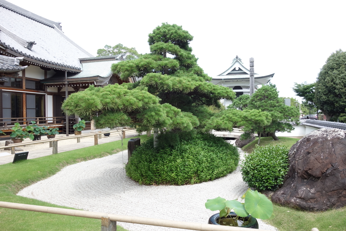 f:id:sogensyooku:20200809211401j:plain