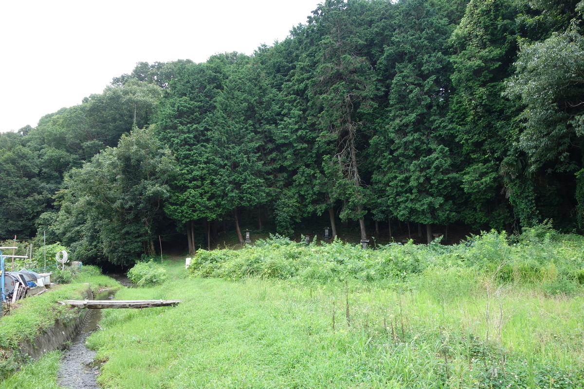 f:id:sogensyooku:20200816204201j:plain